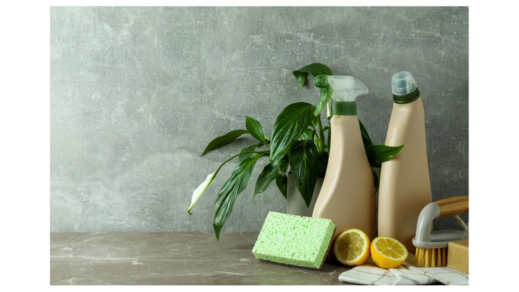 Cleaning tools including bottles, a sponge, and lemons on a gray surface with a plant in the background.